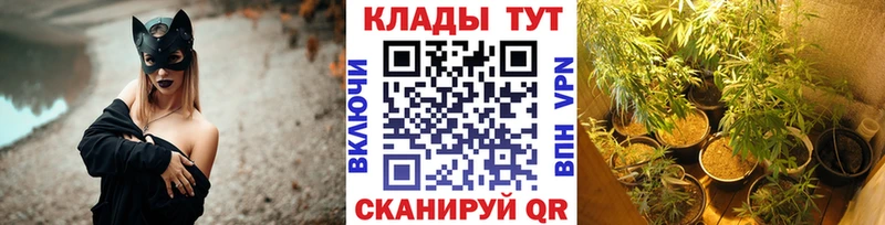 Где купить наркотики Псков блэк спрут ССЫЛКА LSD-25 Канабис COCAIN ГАШИШ A PVP