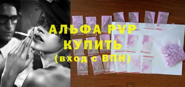 стаф Киренск