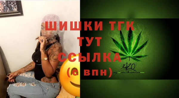 стаф Киренск