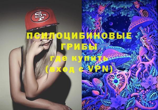 стаф Киренск