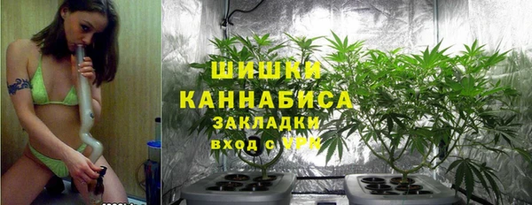 молекула духа Кинешма