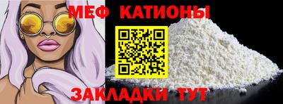 индика Гатчина