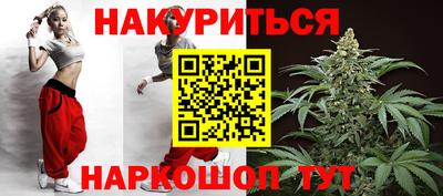 индика Гатчина