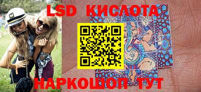 индика Гатчина