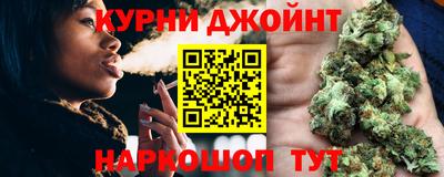 индика Гатчина