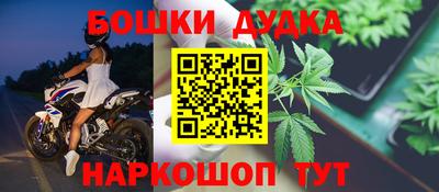 индика Гатчина
