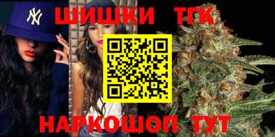 индика Гатчина