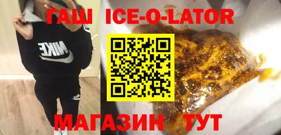 индика Гатчина