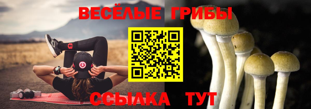 Псилоцибиновые грибы MAGIC MUSHROOMS Псков